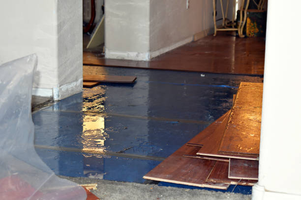 Professional Flood Cleanup technician working in Woodhaven, MI