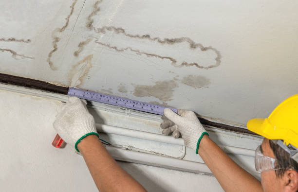 Reliable Flood Cleanup contractor in Woodhaven, MI by Water Damage Irwin